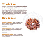 
                    
                      11 Mukhi Rudraksha (Hanuman Rudraksha) for courage and leadership by Acharya Lavbhushan

                    
                  