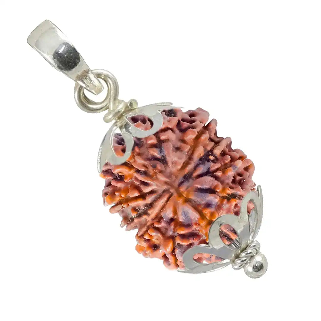11 Mukhi Rudraksha with pendent