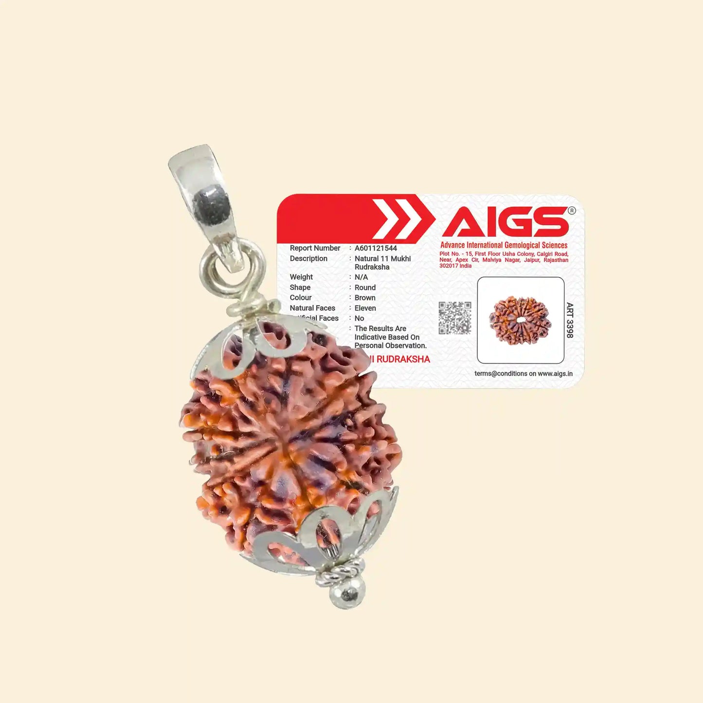 11 mukhi rudraksha acharya lavbhushan, hanuman rudraksha, courage leadership symbol, shiva rudraksha bead, spiritual balance bead, vedic rudraksha, conscious living support, sacred rudraksha