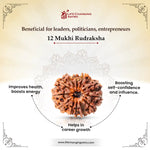 
                    
                      12 Mukhi Rudraksha (Surya Rudraksha) for authority by Acharya Lavbhushan

                    
                  