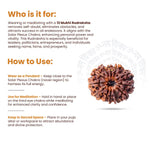 
                    
                      12 Mukhi Rudraksha (Surya Rudraksha) for authority by Acharya Lavbhushan

                    
                  