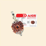 
                    
                      12 Mukhi Rudraksha (Surya Rudraksha) with Pendant and Certificate for authority by Acharya Lavbhushan

                    
                  