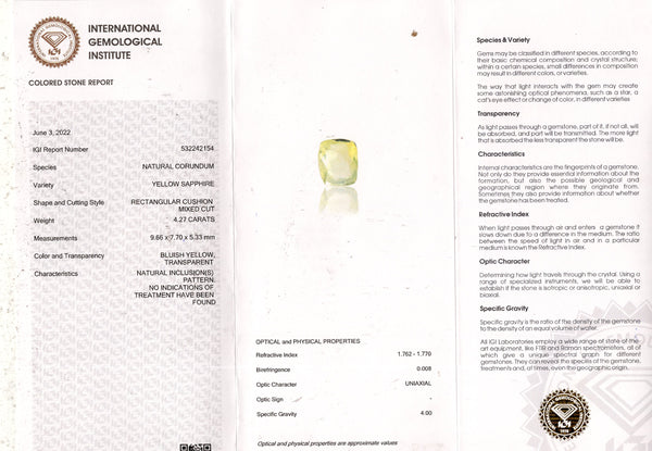 NATURAL PITAMBARI 4.27  CARATS - Media 6