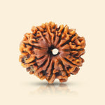 
                    
                      13 Mukhi Rudraksha (Kamadeva Rudraksha) for charisma by Acharya Lavbhushan

                    
                  