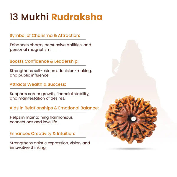 13 Mukhi Rudraksha-Benefits sign