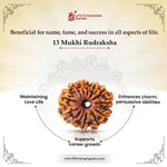 
                    
                      13 Mukhi Rudraksha (Kamadeva Rudraksha) for charisma by Acharya Lavbhushan

                    
                  