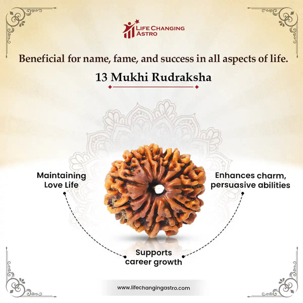 13 Mukhi Rudraksha Benefits