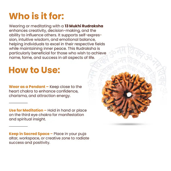 13 Mukhi Rudraksha-how to use