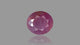 Natural Ruby (Manik) 6.37 Carats