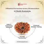 
                    
                      14 Mukhi Rudraksha (Dev Mani) rarest bead for intuition by Acharya Lavbhushan

                    
                  