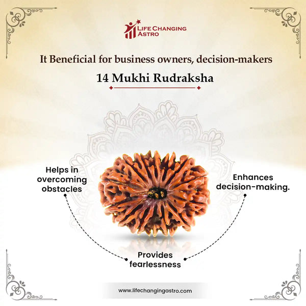 14 Mukhi Rudraksha benefits