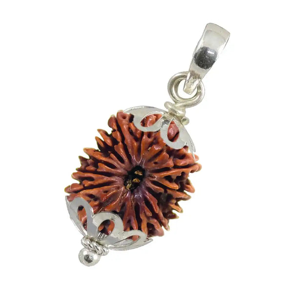 14 Mukhi Rudraksha with pendent