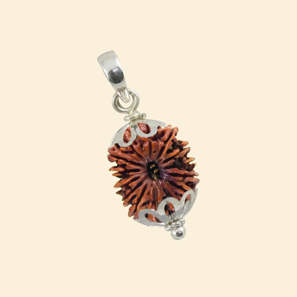 14 mukhi rudraksha acharya lavbhushan, dev mani rudraksha, shiva rudraksha bead, intuition protection symbol, spiritual balance bead, vedic rudraksha, conscious living support, sacred rudraksha