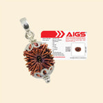 
                    
                      14 Mukhi Rudraksha (Dev Mani) with Pendant and Certificate rarest bead for intuition by Acharya Lavbhushan

                    
                  