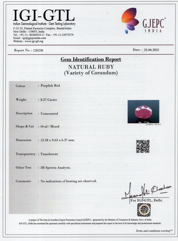 Natural Ruby (Manik)  8.27 Carats - Media 6