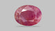 Burmese Ruby (Manik) 10.46 Carats