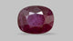 Natural Mozambique Ruby (Manik) 3.52 Carats