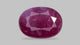 Natural Mozambique Ruby (Manik) 1.66 Carats
