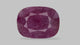 Natural Mozambique Ruby (Manik) 13.14 Carats