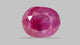 Burmese Ruby (Manik) 6.48 Carats