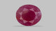 Natural African Ruby (Manik) 7.03 Carats