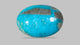 Natural Turquoise (Firoza) 8.91 Carats