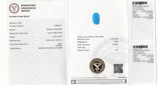 NATURAL TURQUOISE (FIROZA) 6.83 CARATS - Media 6