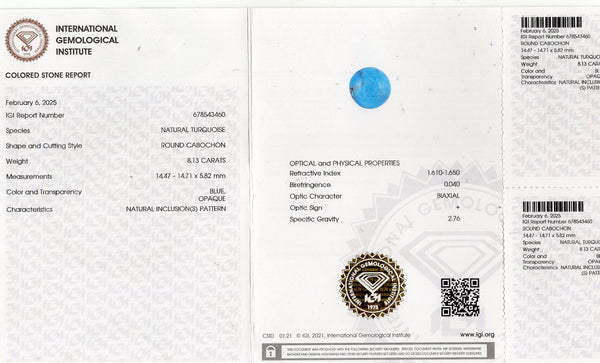 NATURAL TURQUOISE (FIROZA) 8.13 CARATS - Media 6