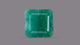 Natural Zambian Emerald (Panna) 7.66 Carats