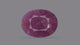 Natural African Ruby (Manik) 5.26 Carats