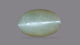 NATURAL CAT'S EYE (Lehsuniya) 4.68 CARATS