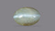 NATURAL CAT'S EYE (Lehsuniya) 5.76 CARATS