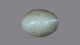 NATURAL CAT'S EYE (Lehsuniya) 5.95 CARATS