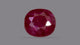 Natural Mozambique Ruby (Manik) 2.15 Carats