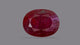Natural Mozambique Ruby (Manik) 1.86 Carats