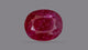 Natural Mozambique Ruby (Manik) 2.88 Carats