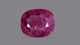 Natural Madagascar Ruby (Manik) 6.60 Carats