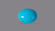 Natural Turquoise (Firoza) 5.84 Carats