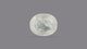 Natural Yellow Sapphire (Pukhraj) 5.57 Carats
