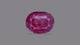 Natural African Ruby (Manik) 6.57 Carats