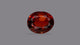 Natural Sri-Lankan Hessonite (Gomed) 5.37 Carats