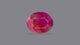 Natural African Ruby (Manik) 7.67 Carats