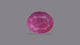 Natural African Ruby (Manik) 8.29 Carats