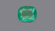 Natural Zambian Emerald (Panna) 5.71 Carats