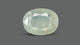 Natural Pitambari 13.04 Carats