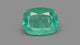 Natural Brazil Emerald (Panna) 6.78 Carats
