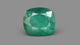 Natural Zambian Emerald (Panna) 8.17 Carats