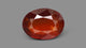 African Hessonite (Gomed) 11.17  Carats