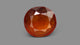African Hessonite (Gomed) 9.00 Carats