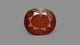 African Hessonite (Gomed) 8.14 Carats